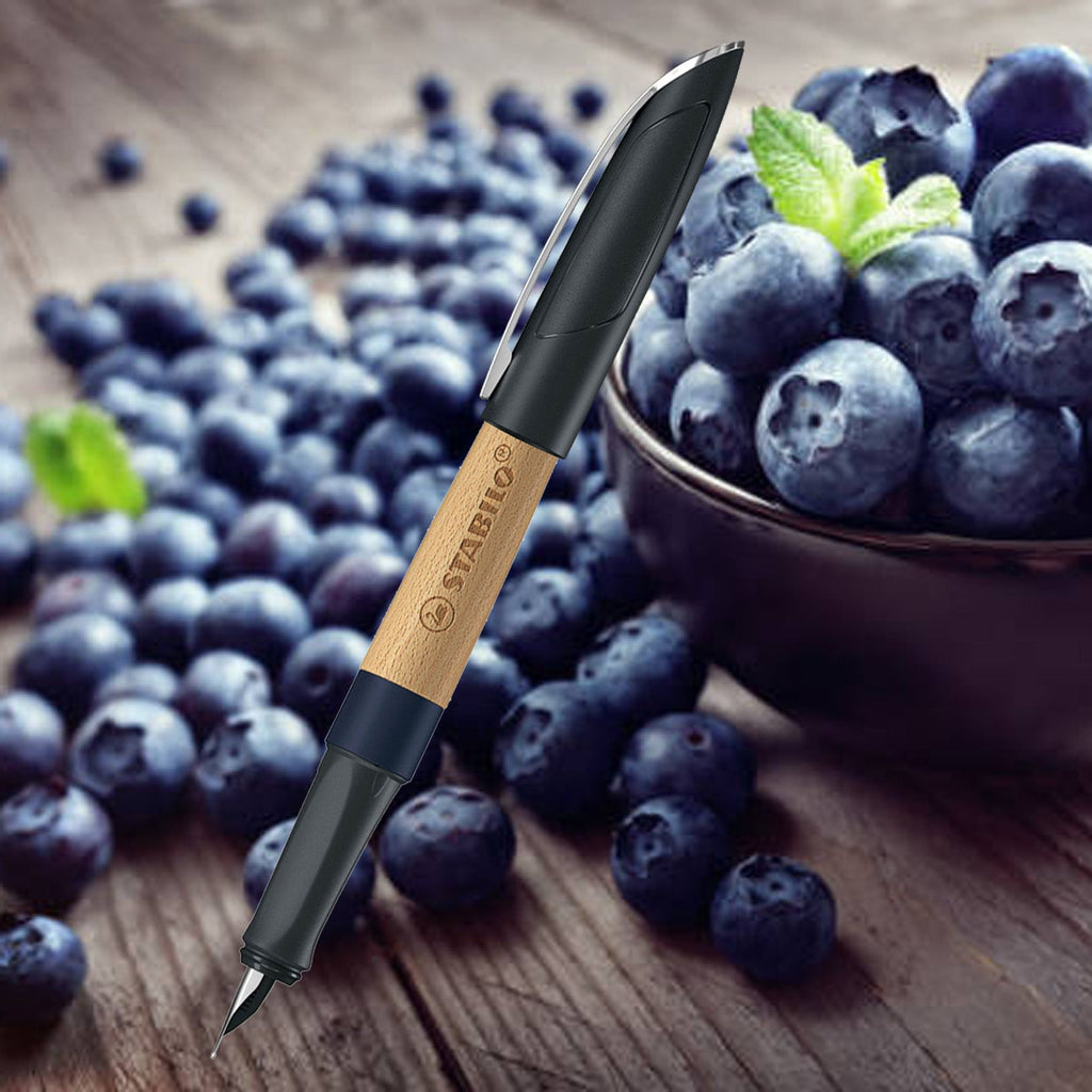 Stabilo Grow Blueberry CT Fountain Pen